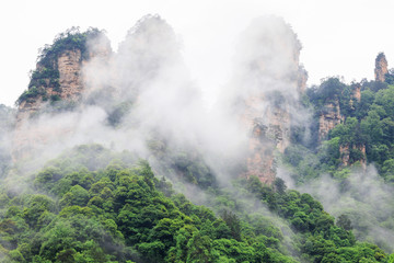 Photo of Beautiful Rock Mountains with Green Trees Surrounded by White Mist Clouds. Green Mountain Landscape