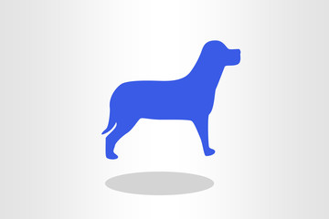 Illustration of domestic dog
