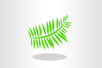 Illustration of fern