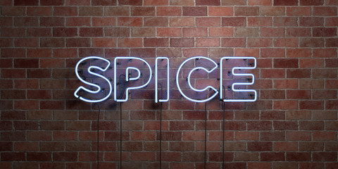 SPICE - fluorescent Neon tube Sign on brickwork - Front view - 3D rendered royalty free stock picture. Can be used for online banner ads and direct mailers..