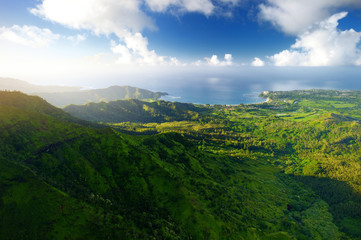 Fototapeta na wymiar Stunning aerial view of spectacular jungles, Kauai