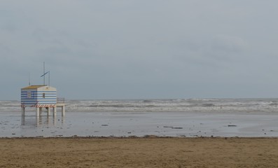 Paysage marin 
