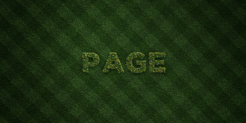 PAGE - fresh Grass letters with flowers and dandelions - 3D rendered royalty free stock image. Can be used for online banner ads and direct mailers..