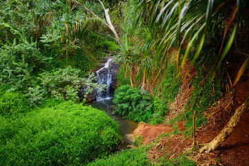 View of the famous Kalalau trail along Na Pali coast of the island of Kauai