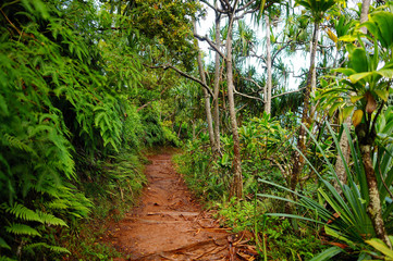 View of the famous Kalalau trail along Na Pali coast of the island of Kauai