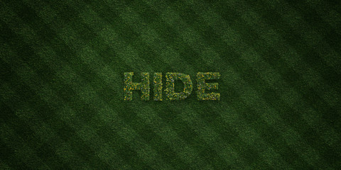 HIDE - fresh Grass letters with flowers and dandelions - 3D rendered royalty free stock image. Can be used for online banner ads and direct mailers..