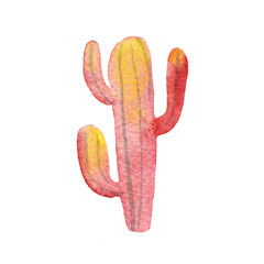 Watercolor orange red cactus