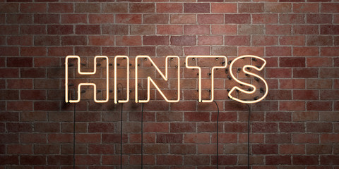 Obraz premium HINTS - fluorescent Neon tube Sign on brickwork - Front view - 3D rendered royalty free stock picture. Can be used for online banner ads and direct mailers..
