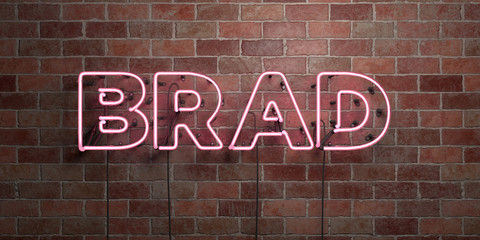 BRAD - fluorescent Neon tube Sign on brickwork - Front view - 3D rendered royalty free stock picture. Can be used for online banner ads and direct mailers..