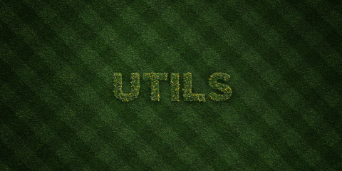 UTILS - fresh Grass letters with flowers and dandelions - 3D rendered royalty free stock image. Can be used for online banner ads and direct mailers..