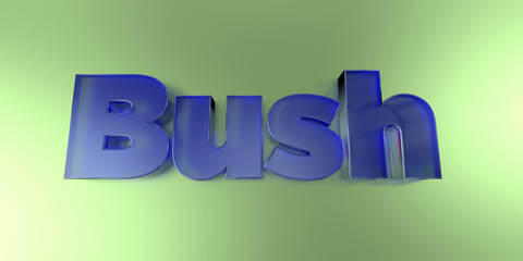 Bush - colorful glass text on vibrant background - 3D rendered royalty free stock image.