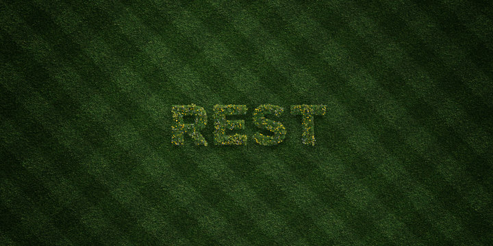 REST - fresh Grass letters with flowers and dandelions - 3D rendered royalty free stock image. Can be used for online banner ads and direct mailers..