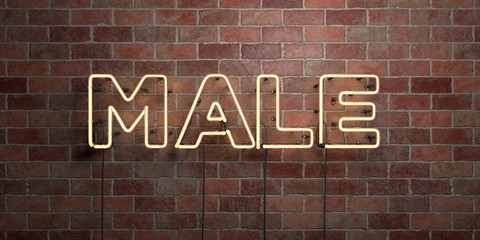 MALE - fluorescent Neon tube Sign on brickwork - Front view - 3D rendered royalty free stock picture. Can be used for online banner ads and direct mailers..