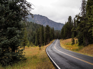 Fototapeta premium Road after rainstorm through Hayden Valley, Yellowstone National Park, Wyoming, USA
