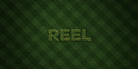 REEL - fresh Grass letters with flowers and dandelions - 3D rendered royalty free stock image. Can be used for online banner ads and direct mailers..