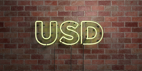 Fototapeta na wymiar USD - fluorescent Neon tube Sign on brickwork - Front view - 3D rendered royalty free stock picture. Can be used for online banner ads and direct mailers..
