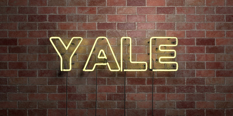YALE - fluorescent Neon tube Sign on brickwork - Front view - 3D rendered royalty free stock picture. Can be used for online banner ads and direct mailers..