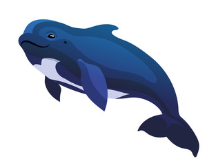 Fototapeta premium Vector pilot whale black dolphin Globicephala under water mammal