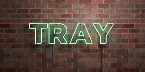 Fototapeta premium TRAY - fluorescent Neon tube Sign on brickwork - Front view - 3D rendered royalty free stock picture. Can be used for online banner ads and direct mailers..