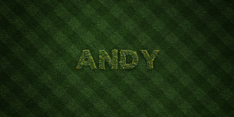 ANDY - fresh Grass letters with flowers and dandelions - 3D rendered royalty free stock image. Can be used for online banner ads and direct mailers..