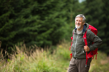 Fototapeta premium Active senior hiking in high mountains
