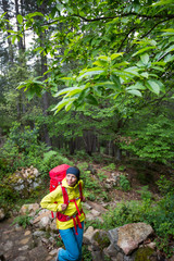 Naklejka na ściany i meble Pretty, young female hiker walking through a splendid old pine forest (shallow DOF)
