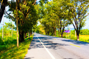Asphalt Road ,countryside Road,thailand