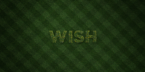WISH - fresh Grass letters with flowers and dandelions - 3D rendered royalty free stock image. Can be used for online banner ads and direct mailers..