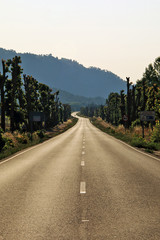 Fototapeta premium Road