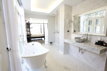 Interior of a luxury bathrooms