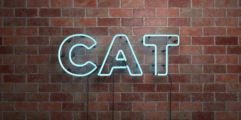 CAT - fluorescent Neon tube Sign on brickwork - Front view - 3D rendered royalty free stock picture. Can be used for online banner ads and direct mailers..