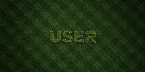 USER - fresh Grass letters with flowers and dandelions - 3D rendered royalty free stock image. Can be used for online banner ads and direct mailers..