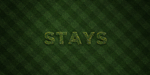 STAYS - fresh Grass letters with flowers and dandelions - 3D rendered royalty free stock image. Can be used for online banner ads and direct mailers..