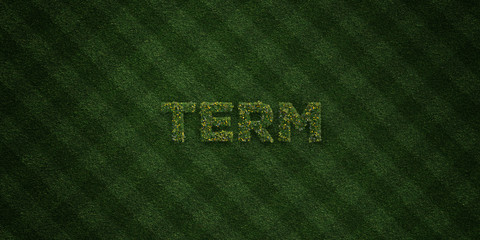 TERM - fresh Grass letters with flowers and dandelions - 3D rendered royalty free stock image. Can be used for online banner ads and direct mailers..