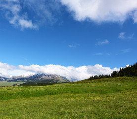 Fototapeta na wymiar Grassland, mountains, white cloudsand white clouds