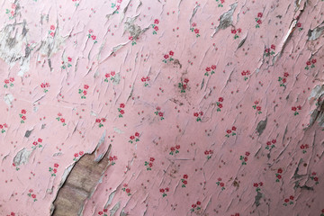 old peeling pink wallpaper