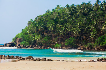 Fototapeta na wymiar Empty beach with palms on a mountain in hot season