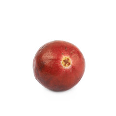 Single ripe cranberry isolated