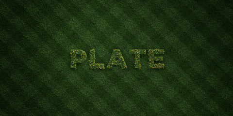 PLATE - fresh Grass letters with flowers and dandelions - 3D rendered royalty free stock image. Can be used for online banner ads and direct mailers..