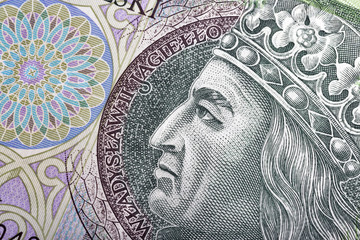 Polish money bill one hundred zloty macro