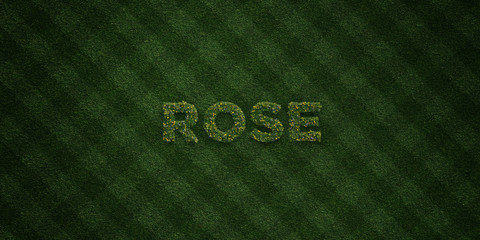 ROSE - fresh Grass letters with flowers and dandelions - 3D rendered royalty free stock image. Can be used for online banner ads and direct mailers..