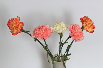 bouquet of colorful carnations