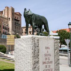 Obraz premium she-wolf