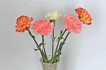 bouquet of carnations