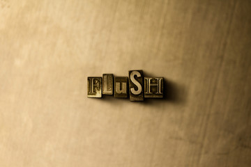 FLUSH - close-up of grungy vintage typeset word on metal backdrop. Royalty free stock illustration.  Can be used for online banner ads and direct mail.