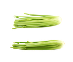 Green fresh celery isolated