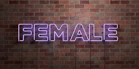 FEMALE - fluorescent Neon tube Sign on brickwork - Front view - 3D rendered royalty free stock picture. Can be used for online banner ads and direct mailers..