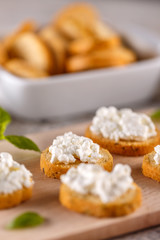 Tasty savory appetizers