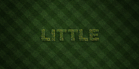 LITTLE - fresh Grass letters with flowers and dandelions - 3D rendered royalty free stock image. Can be used for online banner ads and direct mailers..