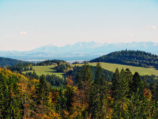 Fototapeta premium Landscape